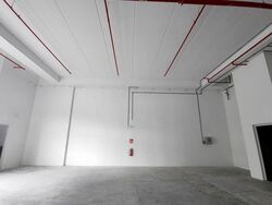 Eldix (D25), Factory #498447081